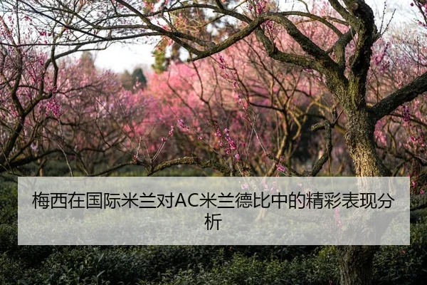 梅西在国际米兰对AC米兰德比中的精彩表现分析