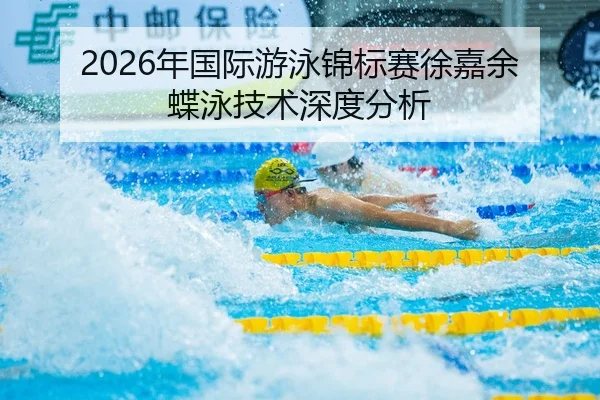 2026年国际游泳锦标赛徐嘉余蝶泳技术深度分析