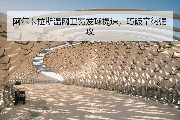 a-er-ka-la-si-wen-wang-wei-mian-fa-qiu-ti-su-qiao-po-xin-na-qiang-gong-2-801.jpg