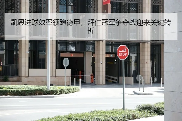 凯恩进球效率领跑德甲，拜仁冠军争夺战迎来关键转折