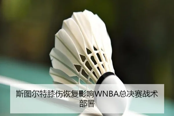 si-tu-er-te-xi-shang-hui-fu-ying-xiang-zong-jue-sai-zhan-shu-bu-shu-3-601.jpg