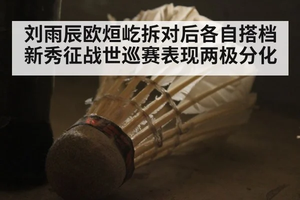 刘雨辰欧烜屹拆对后各自搭档新秀征战世巡赛表现两极分化