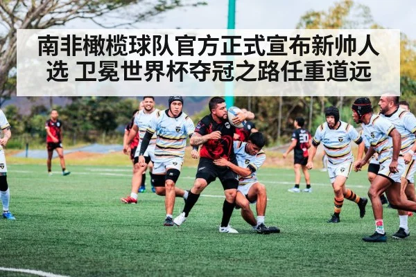 南非橄榄球队官方正式宣布新帅人选 卫冕世界杯夺冠之路任重道远